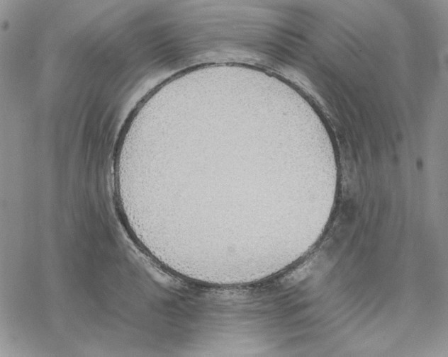 X0000077281040200611171557