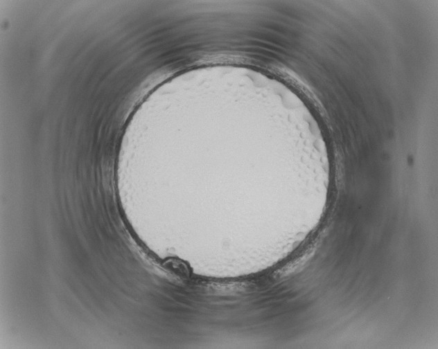 X0000077281041200611171557