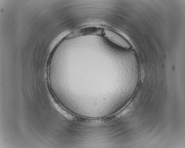 X0000077281042200611171557