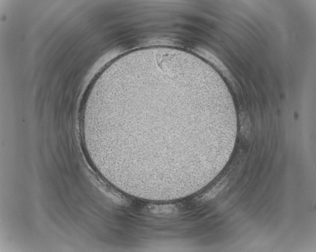 X0000077281043200611171557