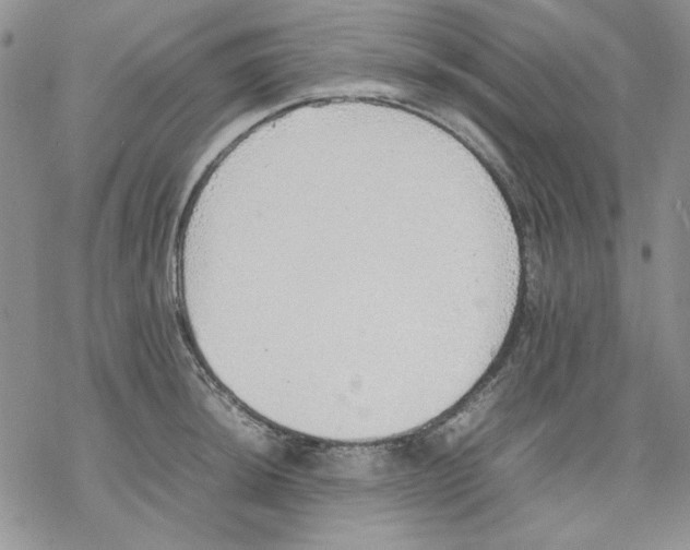 X0000077281044200611171557