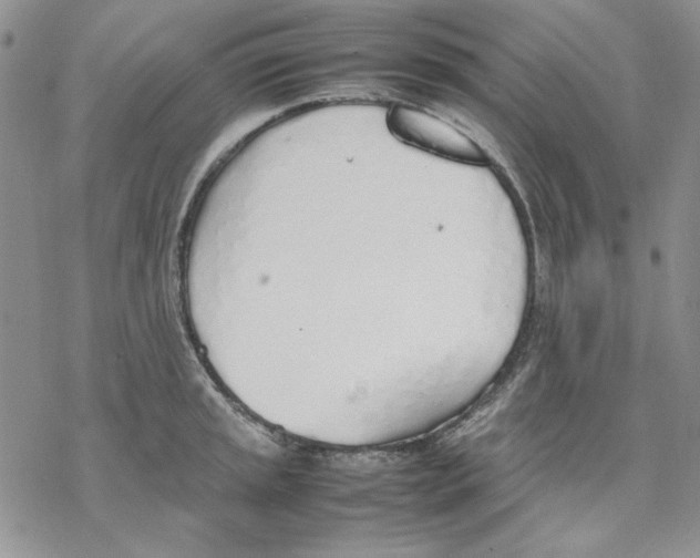 X0000077281045200611171557