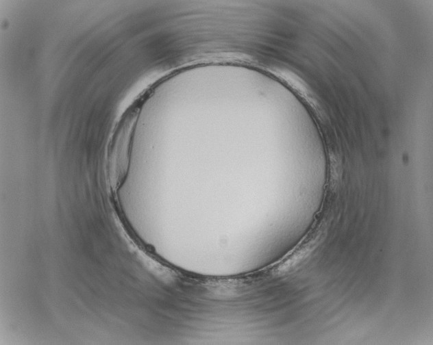 X0000077281046200611171557