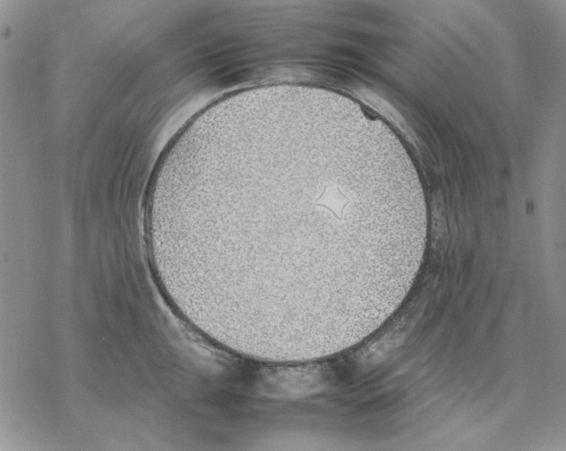 X0000077281047200611171557