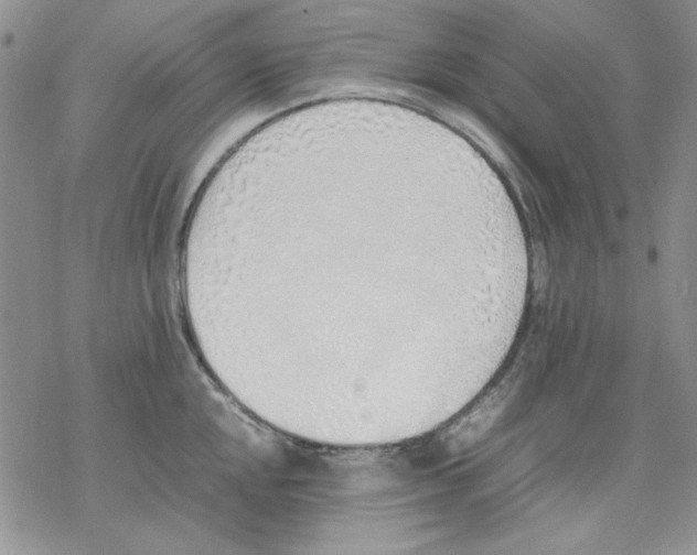 X0000077281048200611171557