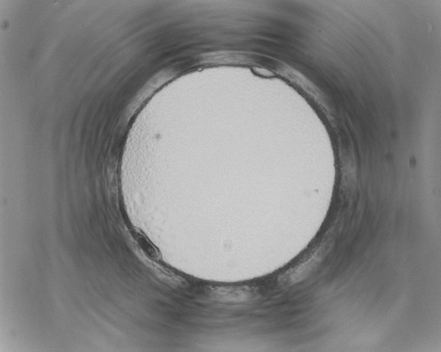 X0000077281049200611171557