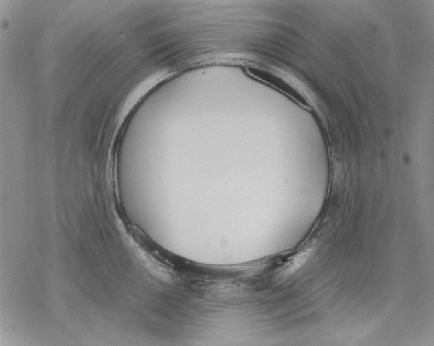 X0000077281050200611171557