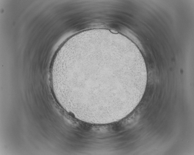 X0000077281051200611171557