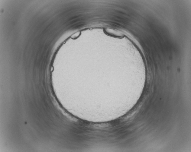 X0000077281053200611171557