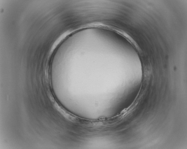 X0000077281054200611171557