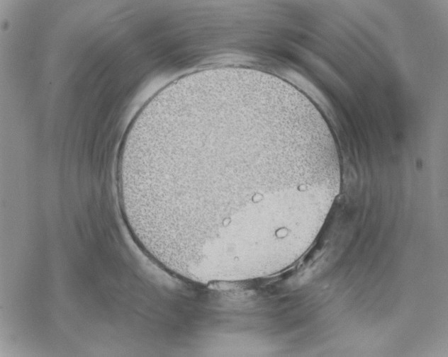 X0000077281055200611171557