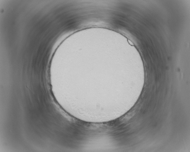 X0000077281056200611171557