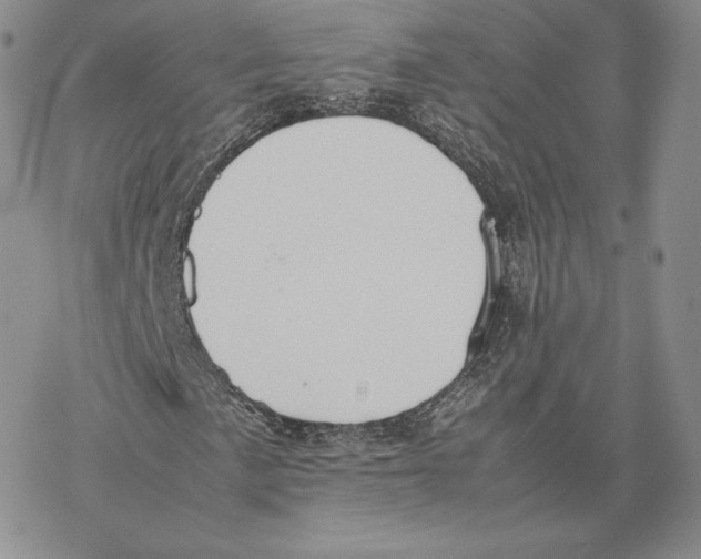 X0000077281057200611171556