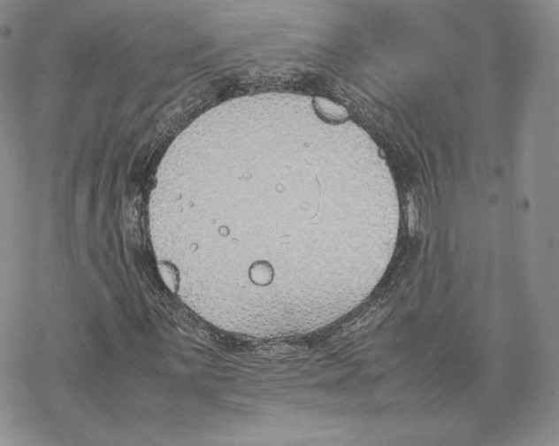 X0000077281059200611171556