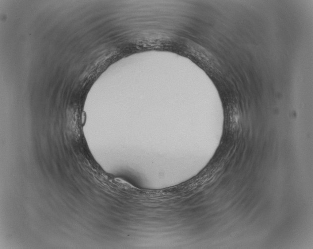 X0000077281060200611171556