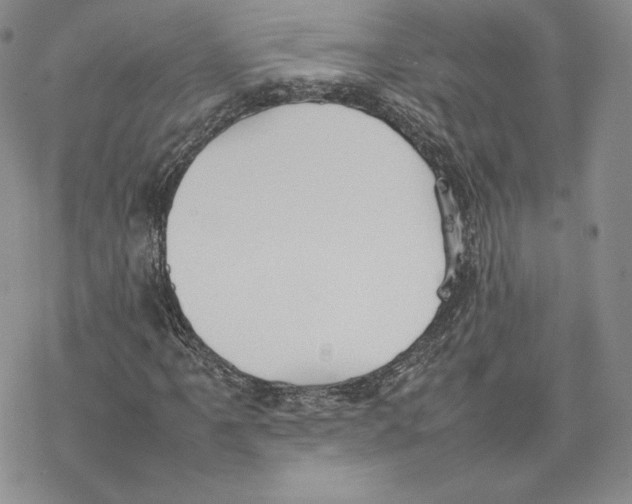 X0000077281061200611171556