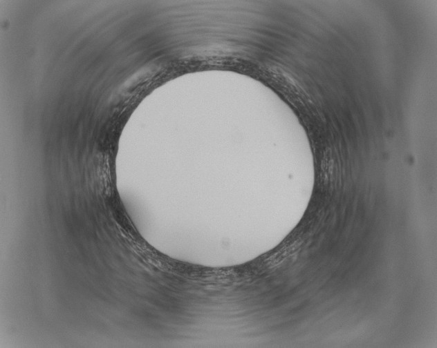 X0000077281062200611171556