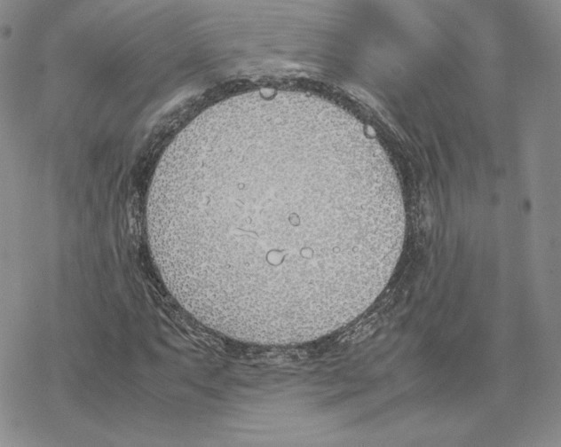 X0000077281063200611171556