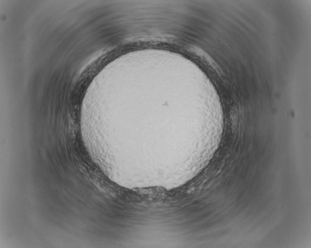 X0000077281064200611171556