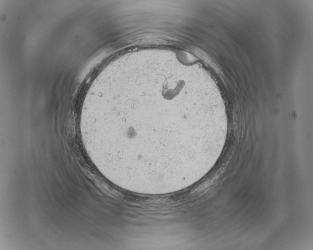 X0000077281067200611171556