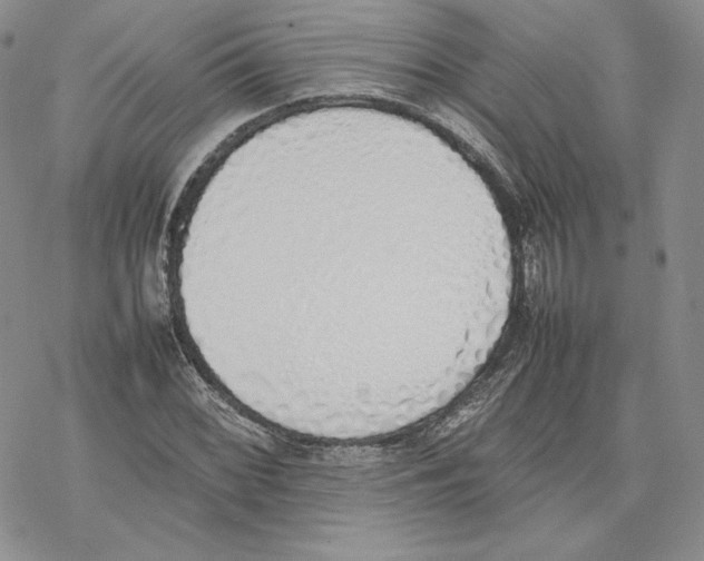 X0000077281068200611171556