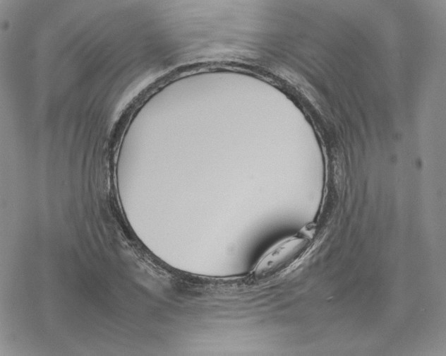 X0000077281069200611171556