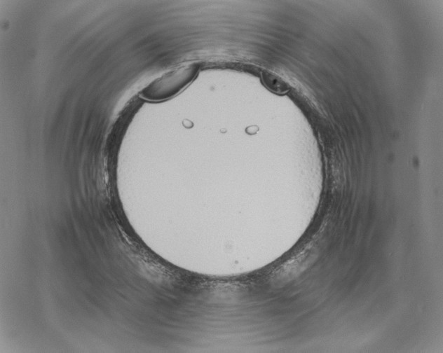 X0000077281070200611171556