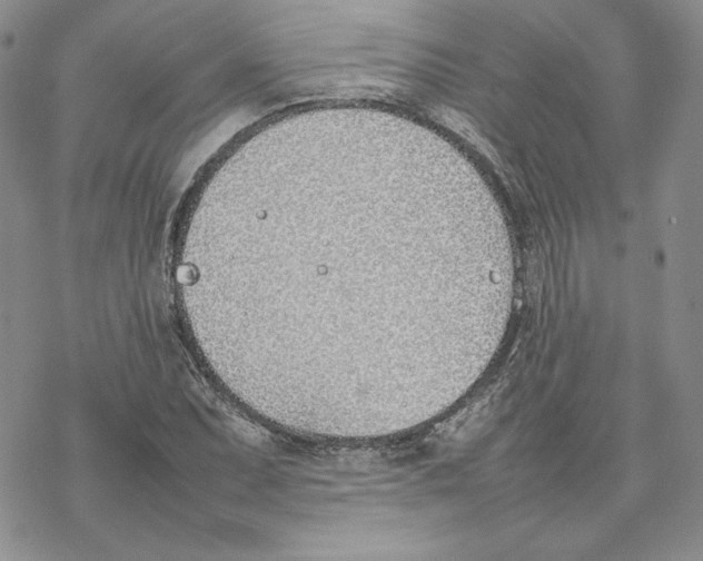 X0000077281071200611171556