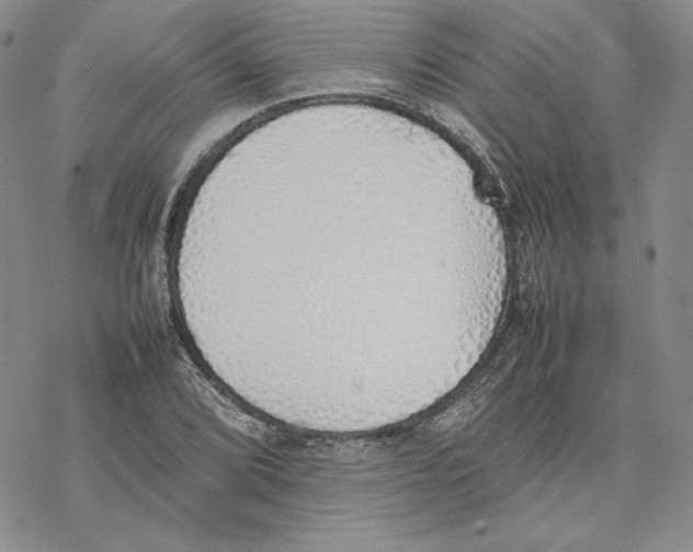 X0000077281072200611171556