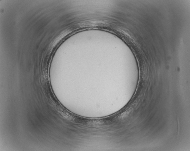 X0000077281073200611171556