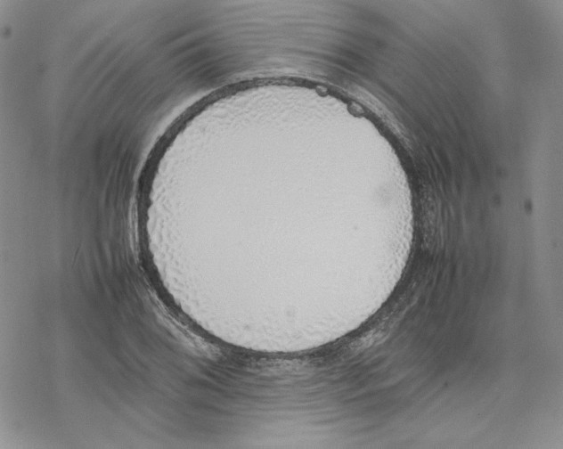 X0000077281076200611171556