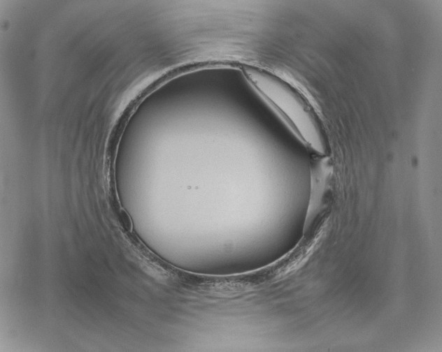 X0000077281077200611171556