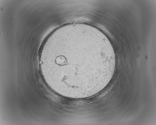 X0000077281079200611171556