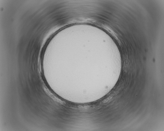 X0000077281080200611171556