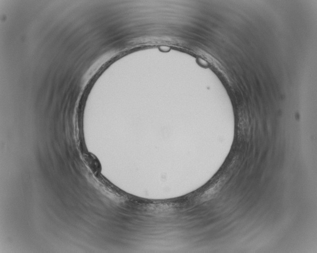 X0000077281082200611171556