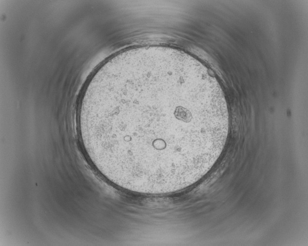 X0000077281083200611171556