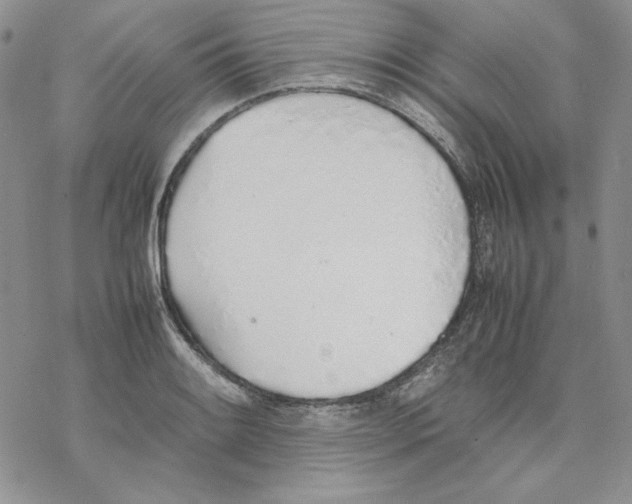 X0000077281084200611171556