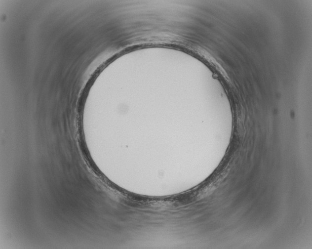 X0000077281085200611171556