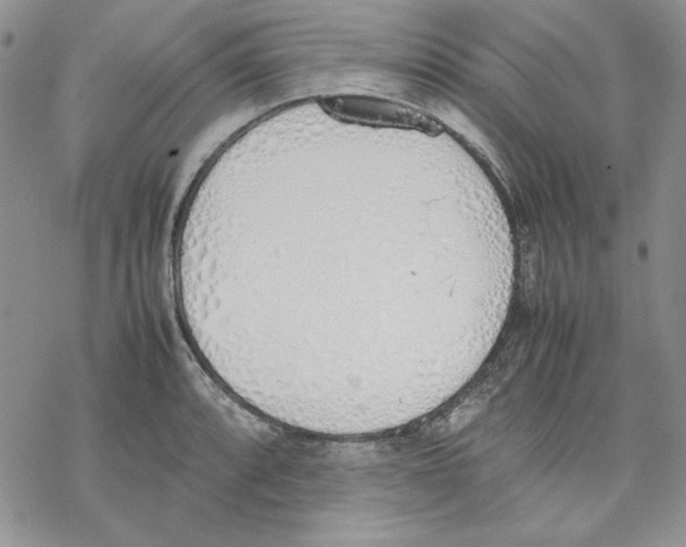 X0000077281088200611171556