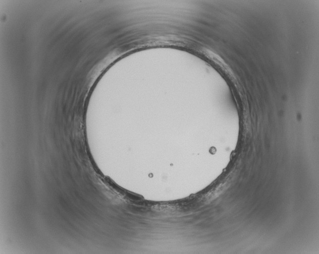 X0000077281089200611171556