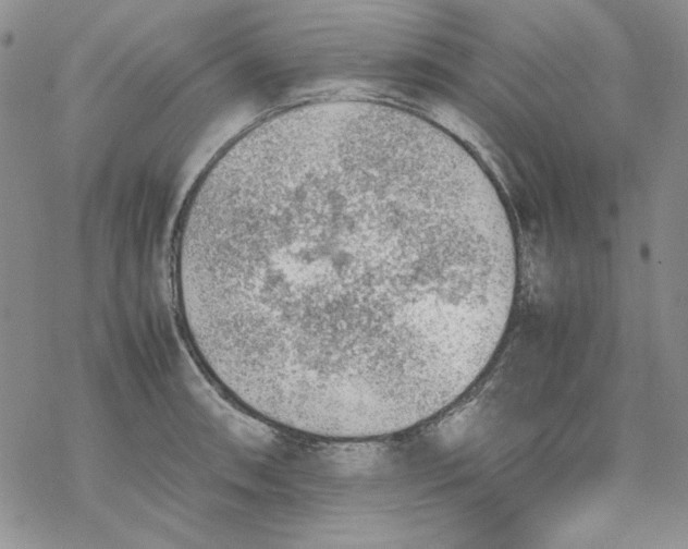 X0000077281090200611171556