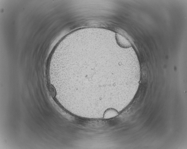 X0000077281091200611171556