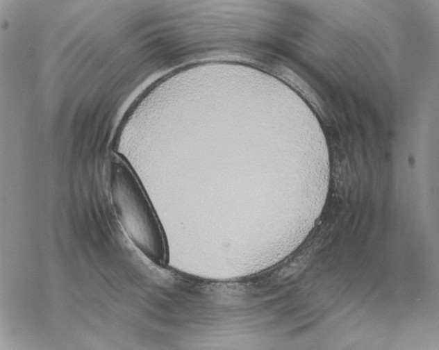 X0000077281092200611171556