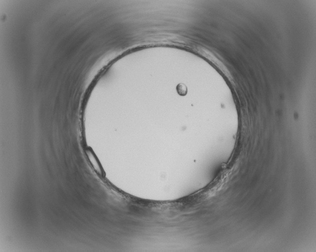 X0000077281093200611171556