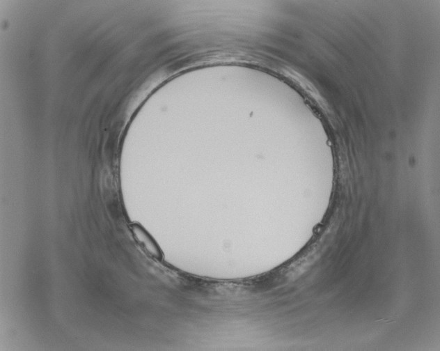 X0000077281097200611171556