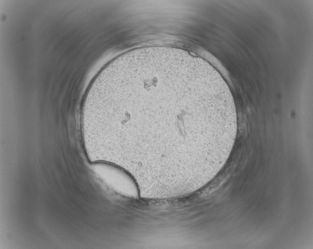 X0000077281099200611171556