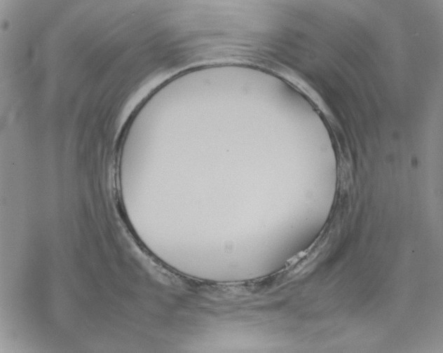 X0000077281101200611171556