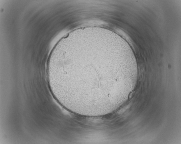 X0000077281103200611171556