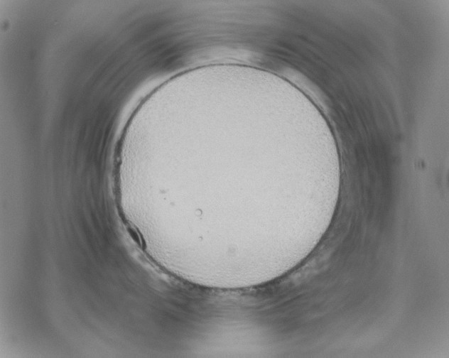 X0000077281104200611171556