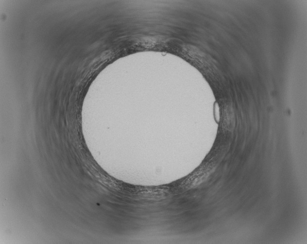 X0000077281105200611171555